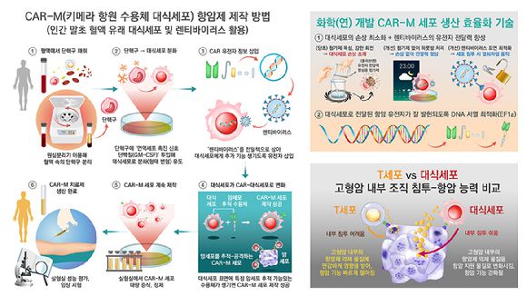 화학연 연구팀이 CAR-M 항암제 제작 방법을 찾아냈다. [사진=화학연]