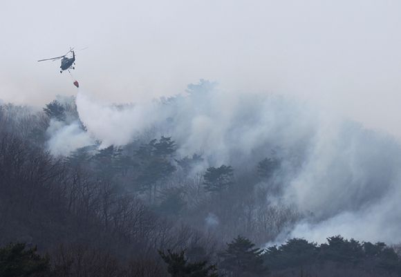 울산시 울주군 온양읍 산불 사흘째인 24일 진화 작업에 동원된 헬기가 물을 뿌리고 있다. [사진=연합뉴스]