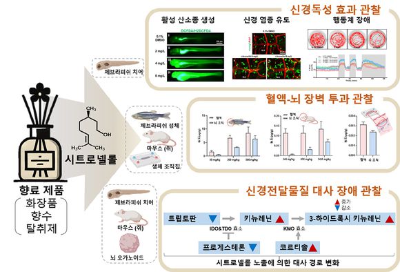 시트로넬롤에 지나치게 노출되면 뇌에 독성을 일으키는 것으로 확인됐다. [사진=화학연]