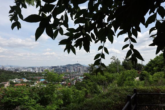 맑음과 푸르름 [사진=연합뉴스]