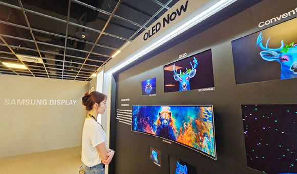 태블릿, 노트북, 모니터 등 다양한 IT OLED 제품을 한 자리에서 살펴볼 수 있는 '컴퓨텍스 2025' 삼성디스플레이 부스 전시존 [사진=삼성디스플레이]