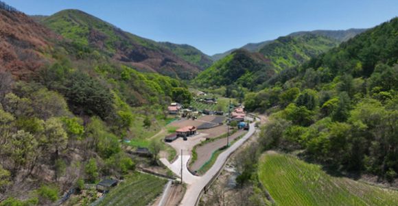 산불 피해가 거의 없었던 주왕산 국립공원 내 너구마을. 다양한 수종이 마을을 둘러싸고 있는 모습을 확인할 수 있다. [사진=그린피스]