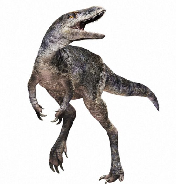이 같은 발견으로 인해 티라노사우루스의 기원이 북미가 아닌, 아시아라는 가능성이 제기됐다. 사진은 티라노사우루스 신종 '칸쿠우루우'의 복원도. [사진=마이니치신문]