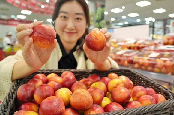 모델이 롯데마트 제타플렉스 서울역점에서 상생 천도복숭아를 홍보하고 있다. [사진=롯데마트]