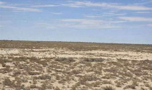 키질쿰 사막의 거친 초원이 펼쳐져 있다. [사진=윤영선]