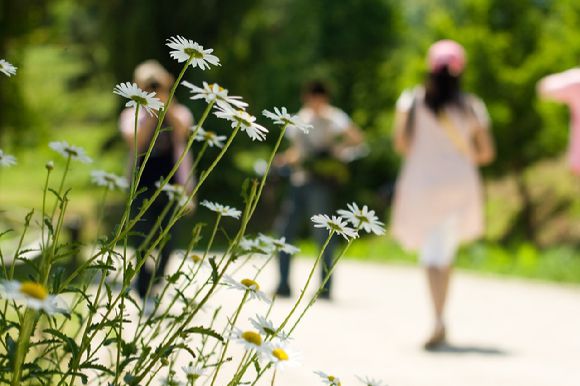 일본의 한 중학교 교사가 미성년자와 반복적으로 성매매를 한 혐의로 경찰에 체포되면서 파문이 일었다. 사진은 본 기사 내용과 무관.  [사진=픽사베이]