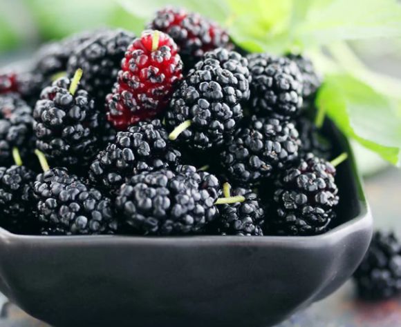 오디에는 생식 기능에 좋은 성분이 다량 함유돼 있다. 사진은 오디. [사진=Ross Creek Tropicals]