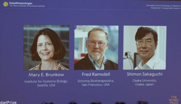 메리 E. 브런코우(미국), 프레드 램스델(미국), 시몬 사카구치(일본) 등 3명의 과학자가 2025년 노벨생리의학상을 받았다. [사진=노벨위원회]