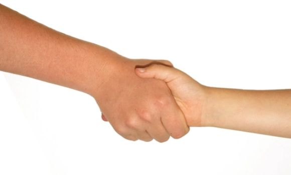 브라 씨는 전처에게 고양이 양육비를 비롯한 돈을 지급하기로 약속했다. 사진은 본 기사 내용과 무관. [사진=freeimages]