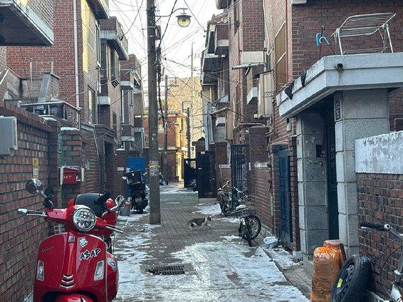 재개발 본격화를 앞둔 성동구 성수4지구 골목에 고양이 한 마리가 지나가고 있다. [사진=김민지 기자]
