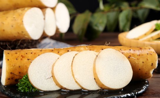 사진은 마. [사진=모어네이처]