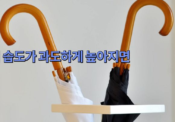 젖은 우산. 사진은 본 기사 내용과 무관. [사진=유튜브 @김소형채널H]