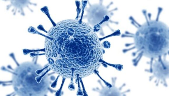 A씨는 의료진에게 가족 역시 감염 가능성이 있다는 설명을 들었다고 한다. 사진은 본 기사 내용과 무관. [사진=National Foundation for Infectious Diseases]