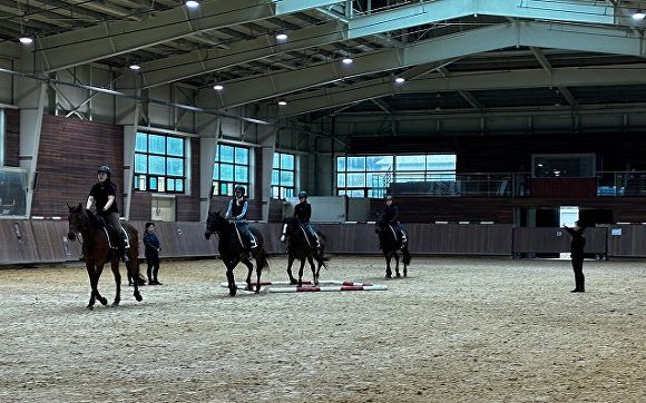 승마 교육 [사진=제주도]