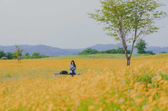여행을 대신해 드립니다 [사진=빅오션이엔엠]