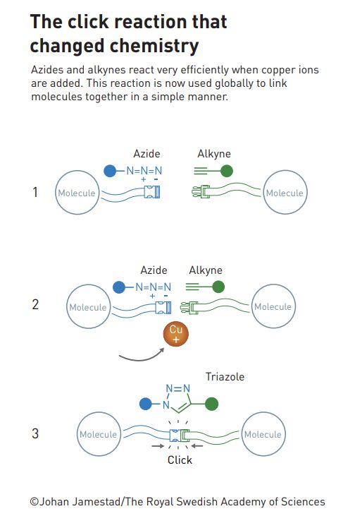 화학을 바꾼 클릭 반응 /이미지=THE NOBEL PRIZE
