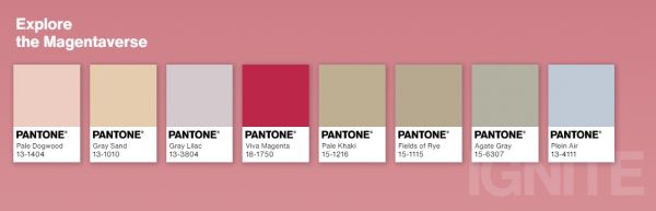 Magentaverse 탐구 /Pantone 갈무리