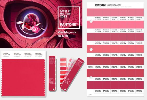 2023년의 팬톤 '올해의 색상'은 '비바 마젠타(Viva Magenta)'의 컬러 툴(COLOR TOOLS) /Pantone 갈무리