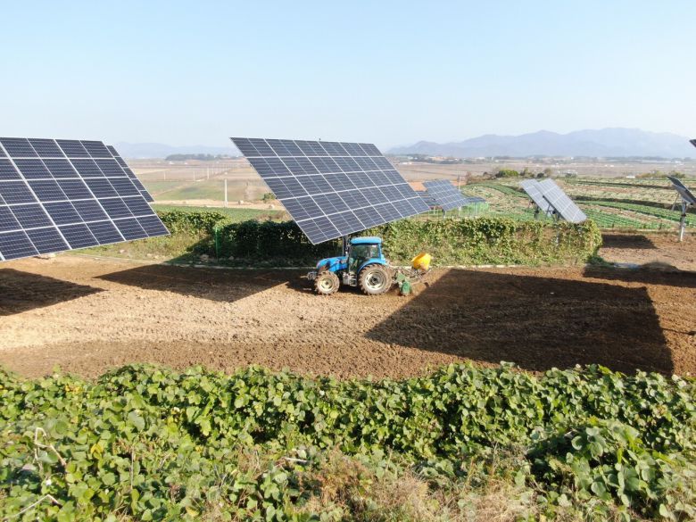 전남 해남에 구축된 영농형 태양광 시설. 농업과 발전을 한곳에서 수행하는 모델로, 사랑의 햇빛에너지 정책이 추구하는 농촌형 재생에너지 확산 사례로 꼽힌다. (사진=파루솔라)