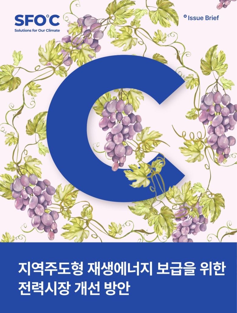 지역주도형 재생에너지 보급을 위한 진력시장 개선방안기후솔루션 보고서.