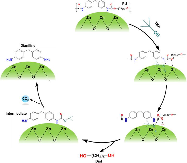 ZnO 촉매 상에서 폴리우레탄 분해 경로 모식도 : ZnO 촉매 상에서 폴리우레탄 모델화합물이 tert-butyl alcohol (TBA)와 반응해 다이올을 형성 후, TBA-카바메이트가 분해되면서 다이아닐린을 형성하는 반응 경로. 이미지ㅣ부산대학교