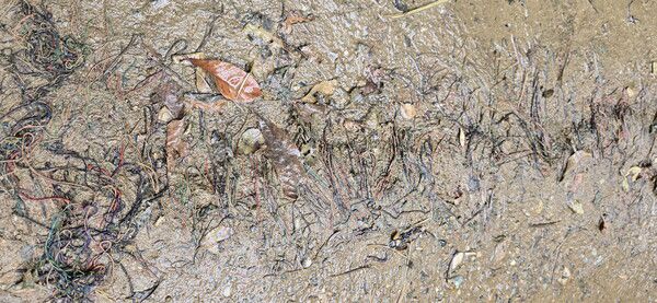 비온 뒤 국립현충원 둘레길의 야자매트는 습한 상태로 미끄러워 다칠수도 있다.(사진=SDG뉴스)