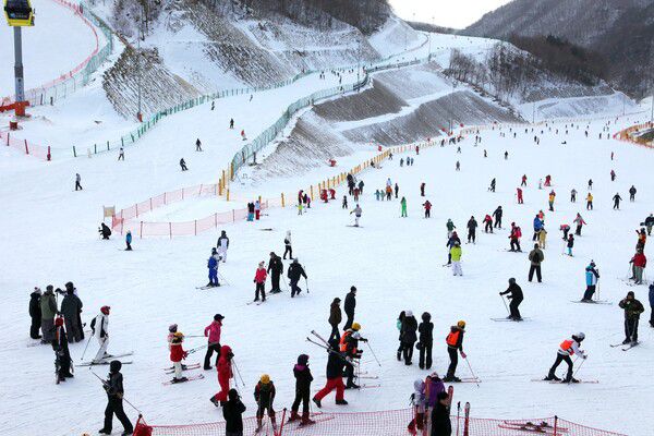 영그룹 오투리조트 스키장 전경