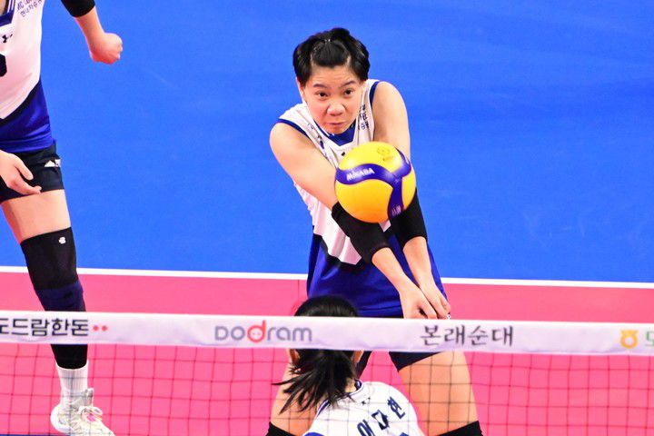 현대건설 위파위, KOVO