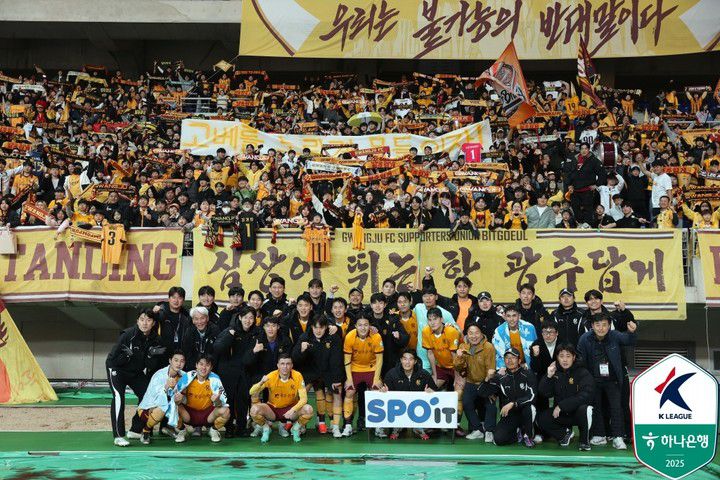 MHN스포츠