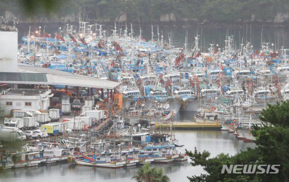 제5호 태풍 '장미'가 빠르게 북상 중인 10일 오전 제주 서귀포시 서귀포항에 어선들이 높은 파도를 피해서 정박해 있다. 뉴시스.