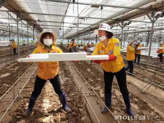 방미숙 하남시의장 13일 안성시 수해복구 지원봉사. 사진제공=방미숙 의원실.