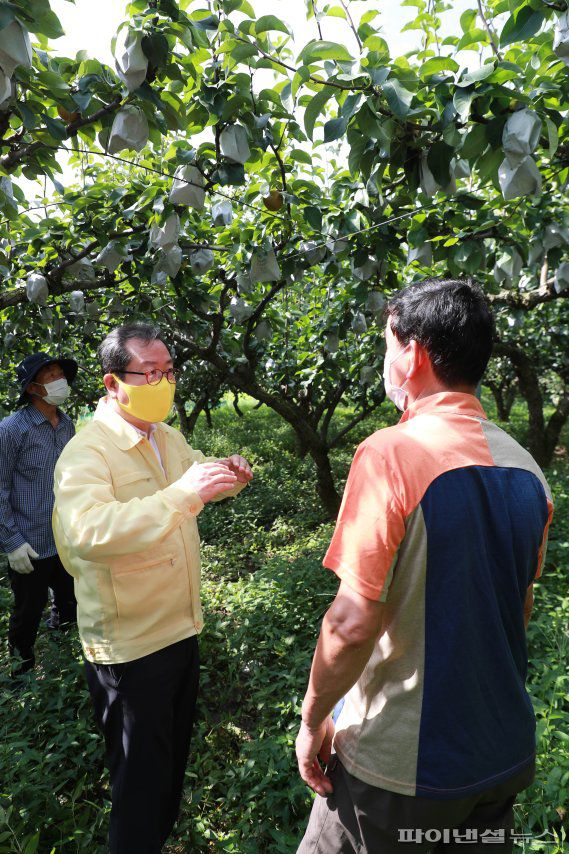 조광한 남양주시장 26일 태풍 바비에 대비해 관내배과수원 안전점검. 사진제공=남양주시