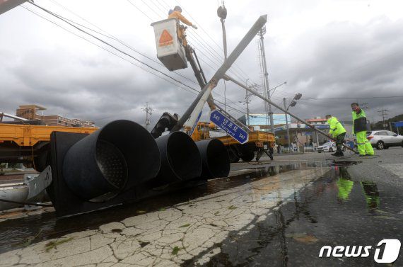 제10호 태풍 '하이선(HAISHEN)'이 울산지역을 관통한 7일 오전 울산시 북구 현대자동차출고센터 앞 신호등이 강풍에 넘어져 관계자들이 안전 조치하고 있다. /사진=뉴스1