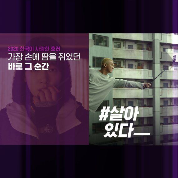 넷플릭스 인기작