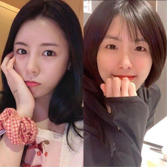 흥국생명 핑크스파이더스 간판 스타인 이재영, 다영 자매의 학교폭력 논란 이후 체육계 학폭 미투가 잦아들지 않고 있다. fnDB