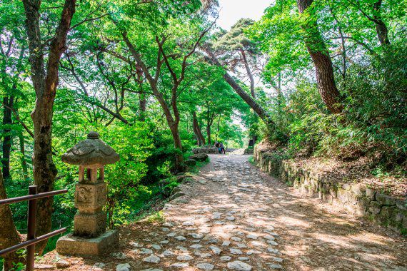 계룡산 국립공원 /사진=스카이스캐너, 클립아트코리아