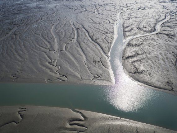 26일 중국 푸저우에서 온라인으로 열린 제44차 세계유산위원회에서 '한국의 갯벌'(Getbol, Korean Tidal Flats) 유네스코 세계유산 등재 여부가 오후 6시30분 이후 결정될 예정이다. 한국의 갯벌은 Δ서천갯벌(충남 서천) Δ고창갯벌(전북 고창) Δ신안갯벌(전남 신안) Δ보성-순천갯벌(전남 보성·순천) 등 총 4개로 구성된 연속유산이며 5개 지자체에 걸쳐 있다. 사진은 신안갯벌의 모습.(신안군 제공) 2021.7.26/뉴스1 © News1 박진규 기자 /사진=뉴스1