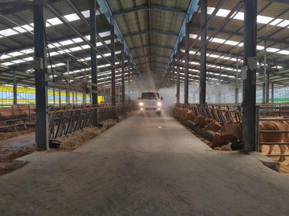 산청군의 한 돼지 농장.(사진은 기사 내용과 무관함)