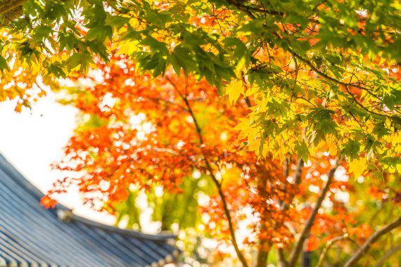 부소산성 /사진=한국관광공사