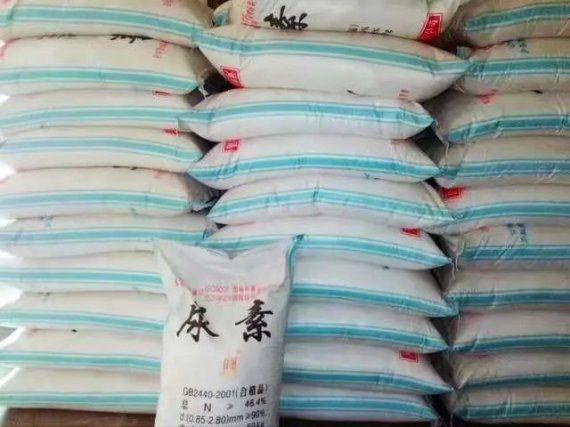 중국 요소 이미지 사진. 중국 인터넷 캡쳐