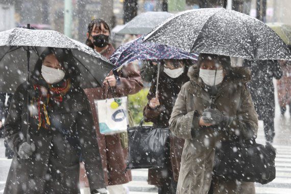 6일 일본 도쿄에 함박눈이 내렸다. 코로나19 감염을 피하기 위해 마스크를 쓴 사람들이 우산을 쓴 채 횡단보도를 건너고 있다. AP뉴시스
