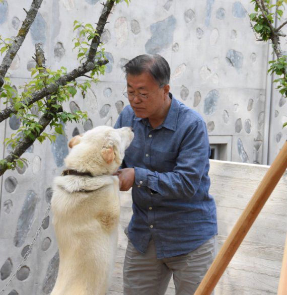 문재인 전 대통령이 경남 양산시 하북면 평산마을의 사저에서 애완견과 시간을 보내고 있다. /사진=문재인 전 대통령 페이스북