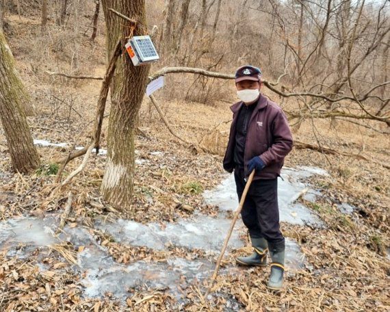충북 증평군에서 아프리카돼지열병(ASF) 차단을 위해 포획활동을 진행하고 있는 모습. 뉴스1 /사진=뉴스1