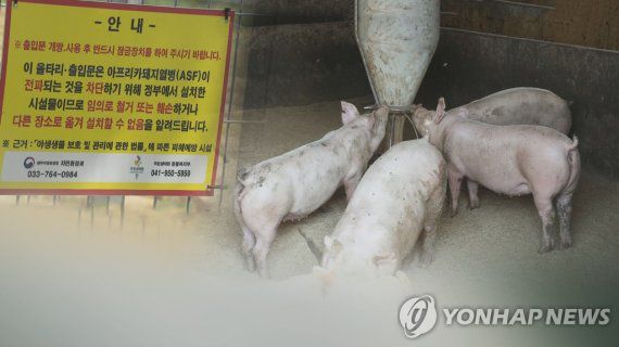 [연합뉴스TV 제공]