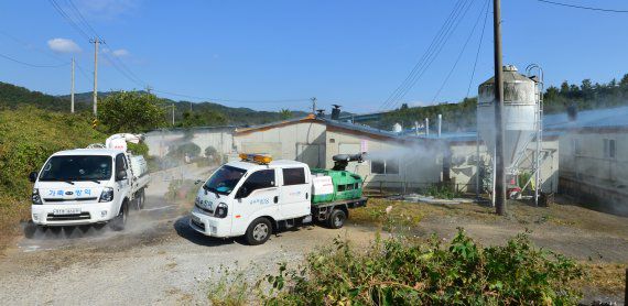 아프리카돼지열병(ASF) 차단 방역. /사진=뉴스1