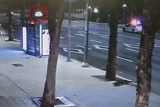 채널A 캡처 /사진=fnDB