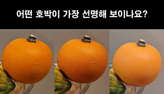 갤럭시S23울트라, 갤럭시S22울트라, 픽셀7프로(왼쪽부터)로 촬영했다는 사진. 아이빙저우 웨이보 캡처