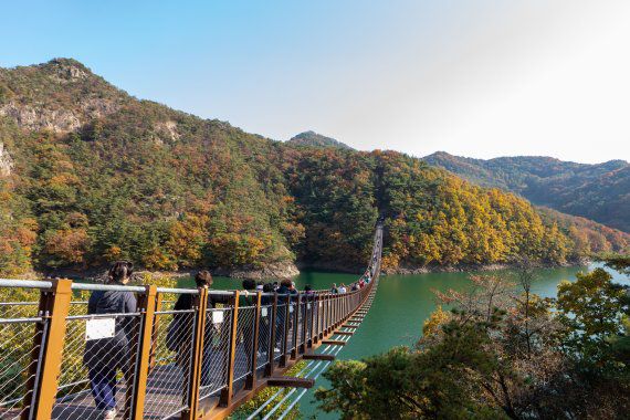 옥순봉 출렁다리                                       청풍호반 케이블카