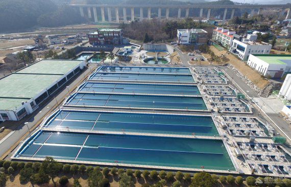 울산 회야정수장