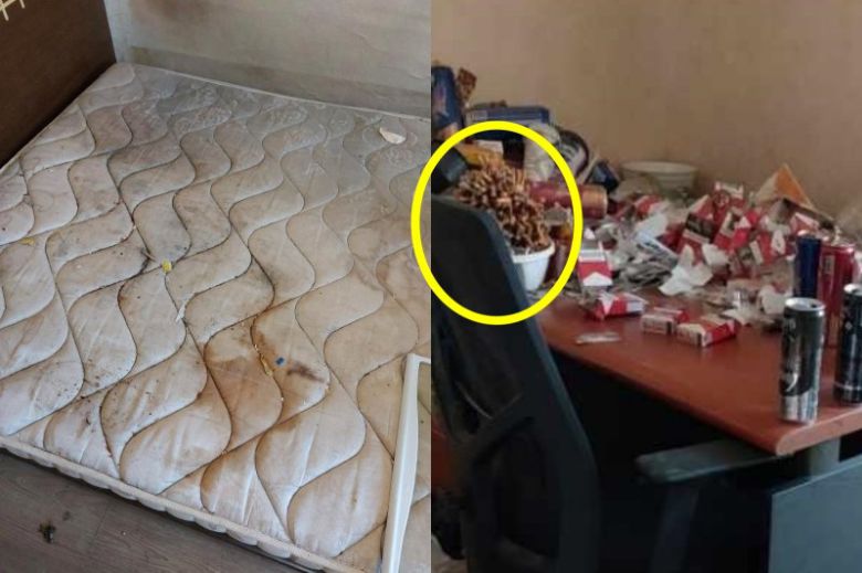 ('보배드림' 갈무리)